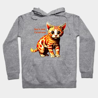 A scared cat Hoodie